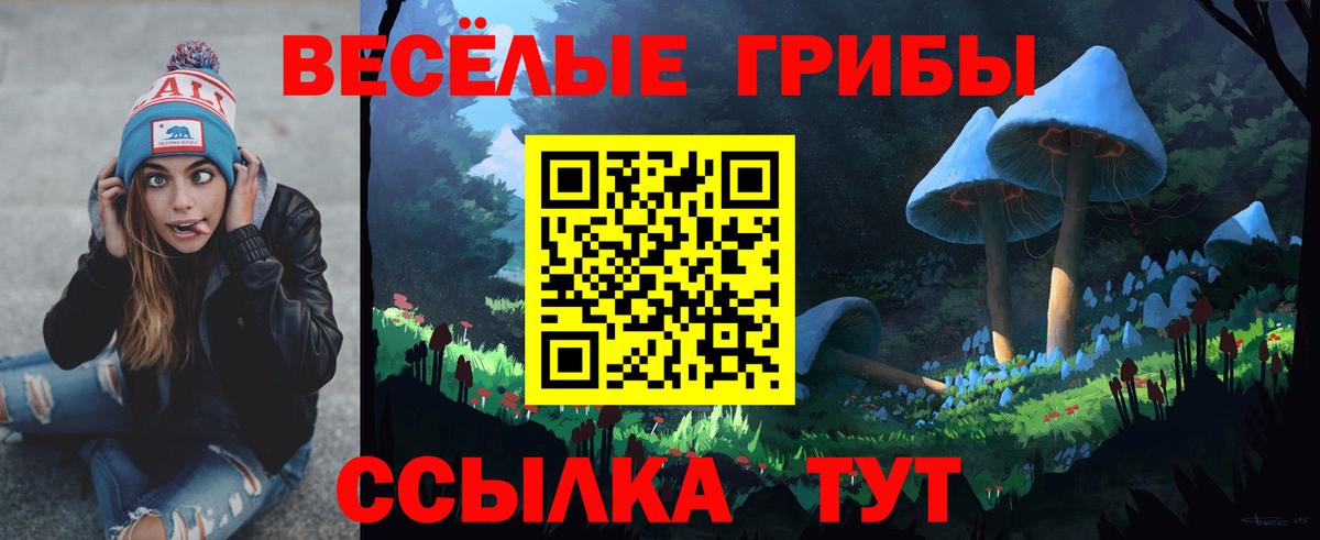 Псилоцибиновые грибы GOLDEN TEACHER  Вход с VPN  Жуковский  Галлюциногенные грибы прущие грибы 